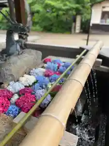 杭全神社(大阪府)(2024年05月31日(金) 15時52分14秒投稿)