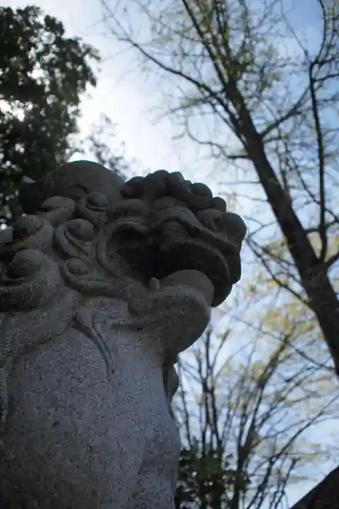 山梨縣護國神社の狛犬