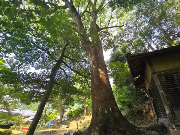 八幡宮社(長峰八幡宮)(京都府)