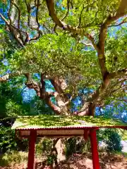 屋形四社神社(千葉県)