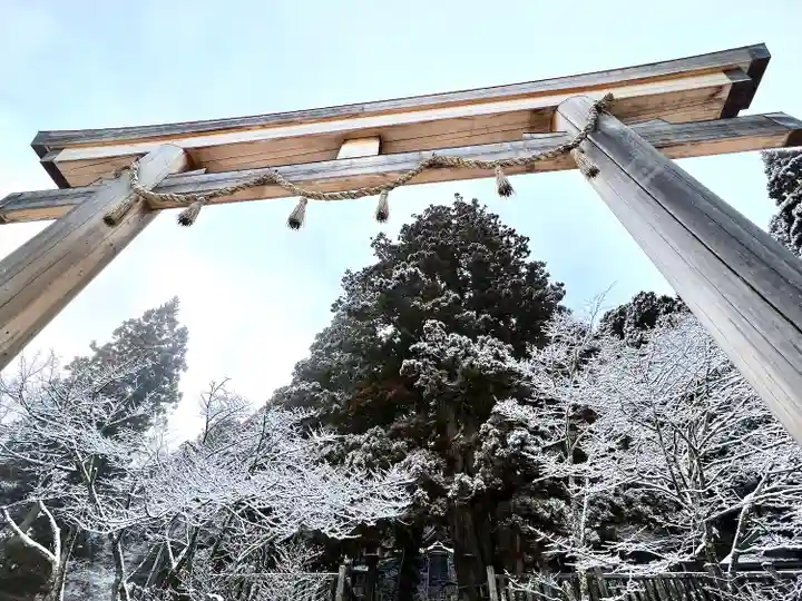 戸隠神社中社(長野県)