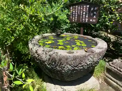 極楽寺（霊鷲山感應院極楽律寺）の手水舎