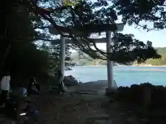 阿古師神社の鳥居