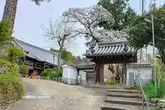 恵心院(京都府)