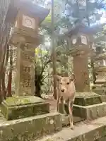 春日大社(奈良県)