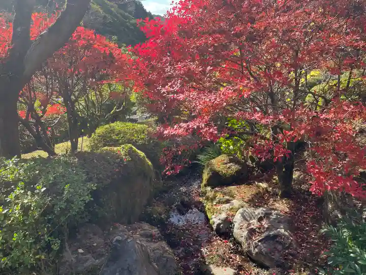 三室戸寺(京都府)