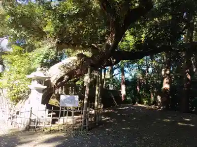 莫越山神社(千葉県)