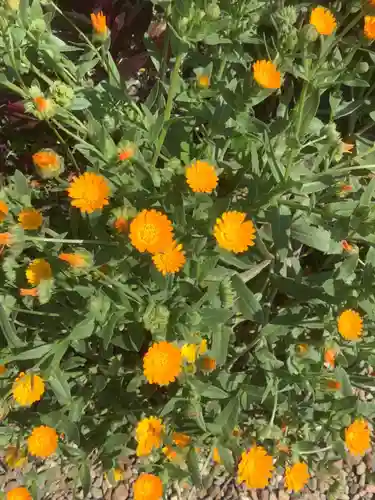 三輪神社の自然