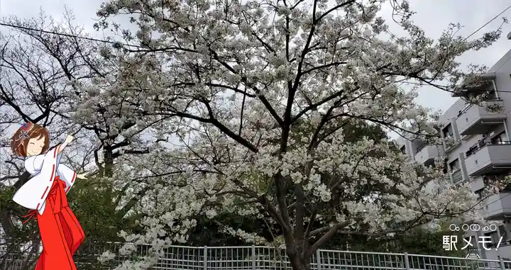川端水神社の自然