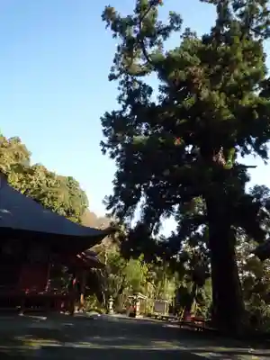 宝樹院小山寺のその他建物