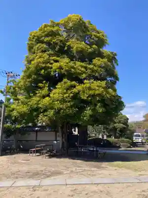 薬王寺(神奈川県)
