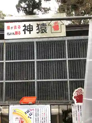 日吉大社(滋賀県)