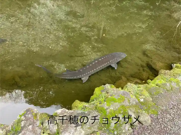 久太郎水神(宮崎県)