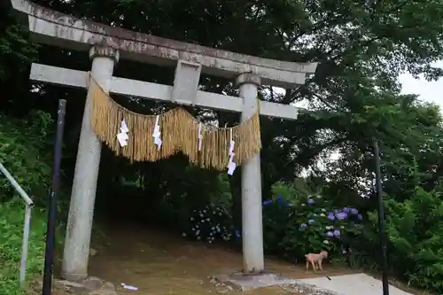 八幡神社の鳥居