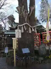 川越八幡宮(埼玉県)