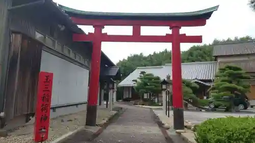 玉三稲荷神社の鳥居