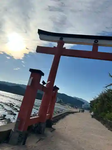 青島神社（青島神宮）の{uncategorized: "未分類", other: "その他", undefined: "問題あり", building: "その他建物", grave: "お墓", sacred_gate: "鳥居", guardian: "狛犬", statue: "像", buddha: "仏像", history: "歴史", nature: "自然", garden: "庭園", animal: "動物", pagoda: "塔", temizu: "手水舎", mountain_gate: "山門・神門", sanctuary: "本殿・本堂", subordinate: "末社・摂社", art: "芸術", scenery: "景色", jizo: "地蔵", ema: "絵馬", goshuin: "御朱印", omikuji: "おみくじ", items: "授与品その他", amulet: "お守り", goshuincho: "御朱印帳", eats: "食事", festival: "お祭り", votive_dance: "神楽", shichigosan: "七五三参", wedding: "結婚式", experience: "体験その他", initially: "初詣", around: "周辺", anti_infection: "感染症対策"}