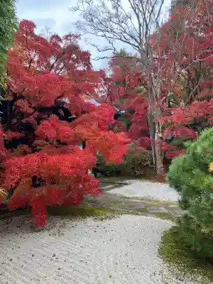 天授庵(京都府)