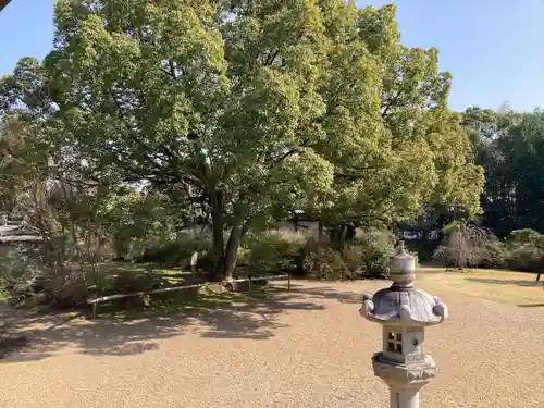 海龍王寺の自然