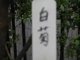 大巧寺(神奈川県)