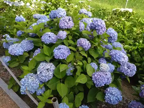 二本松寺(茨城県)