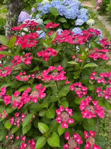 宮地嶽神社(福岡県)
