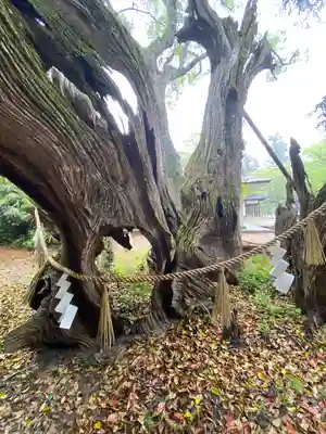大山祇神社(愛媛県)