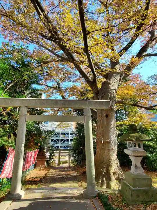 愛宕神社の鳥居