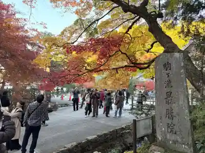 南禅寺(京都府)