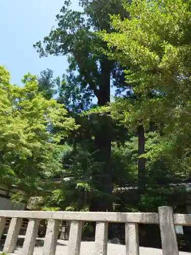 丹生川上神社（中社）(奈良県)