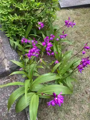 仏行寺（佛行寺）(神奈川県)