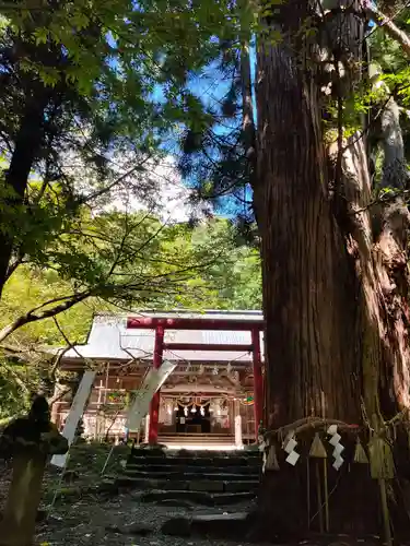 磐椅神社の鳥居