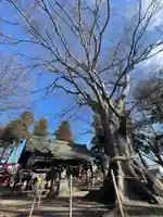 白鳥神社の自然