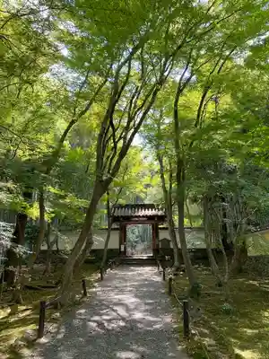 地蔵院(京都府)