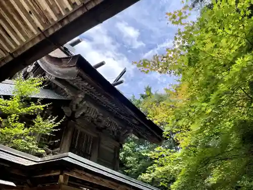 玉作湯神社の本殿