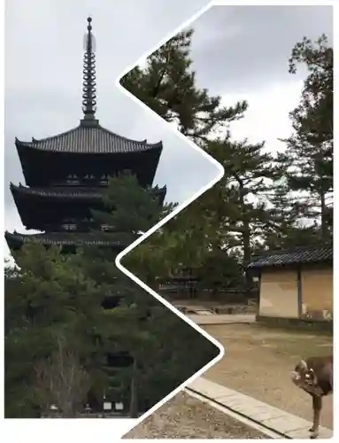 興福寺 南円堂のその他建物