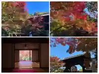 金剛輪寺(滋賀県)