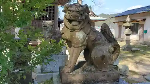 大歳神社の狛犬