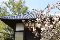 梅林寺(福岡県)