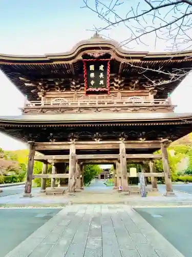 妙高院(神奈川県)