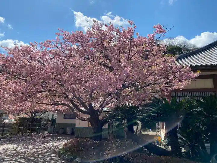 誕生寺(千葉県)