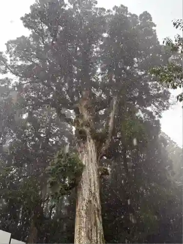 霧島神宮(鹿児島県)