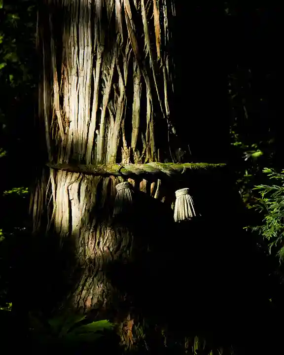 戸隠神社奥社(長野県)