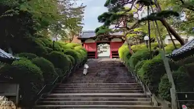 護国寺のその他建物
