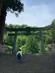 妙義神社の鳥居