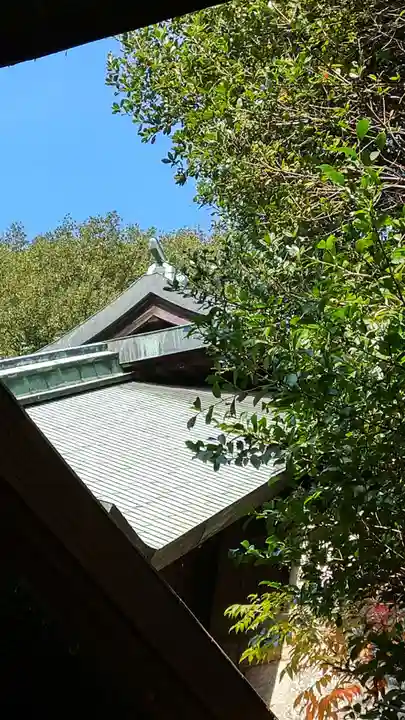 箆取神社の本殿・本堂
