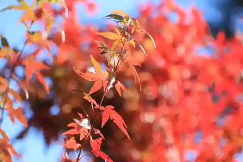 豊景神社の自然