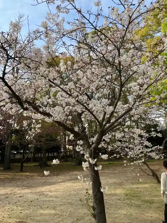 三津厳島神社の自然