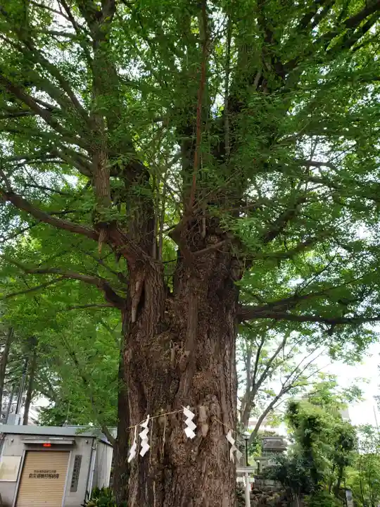 鳩森八幡神社(東京都)