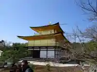 鹿苑寺(金閣寺)の庭園
